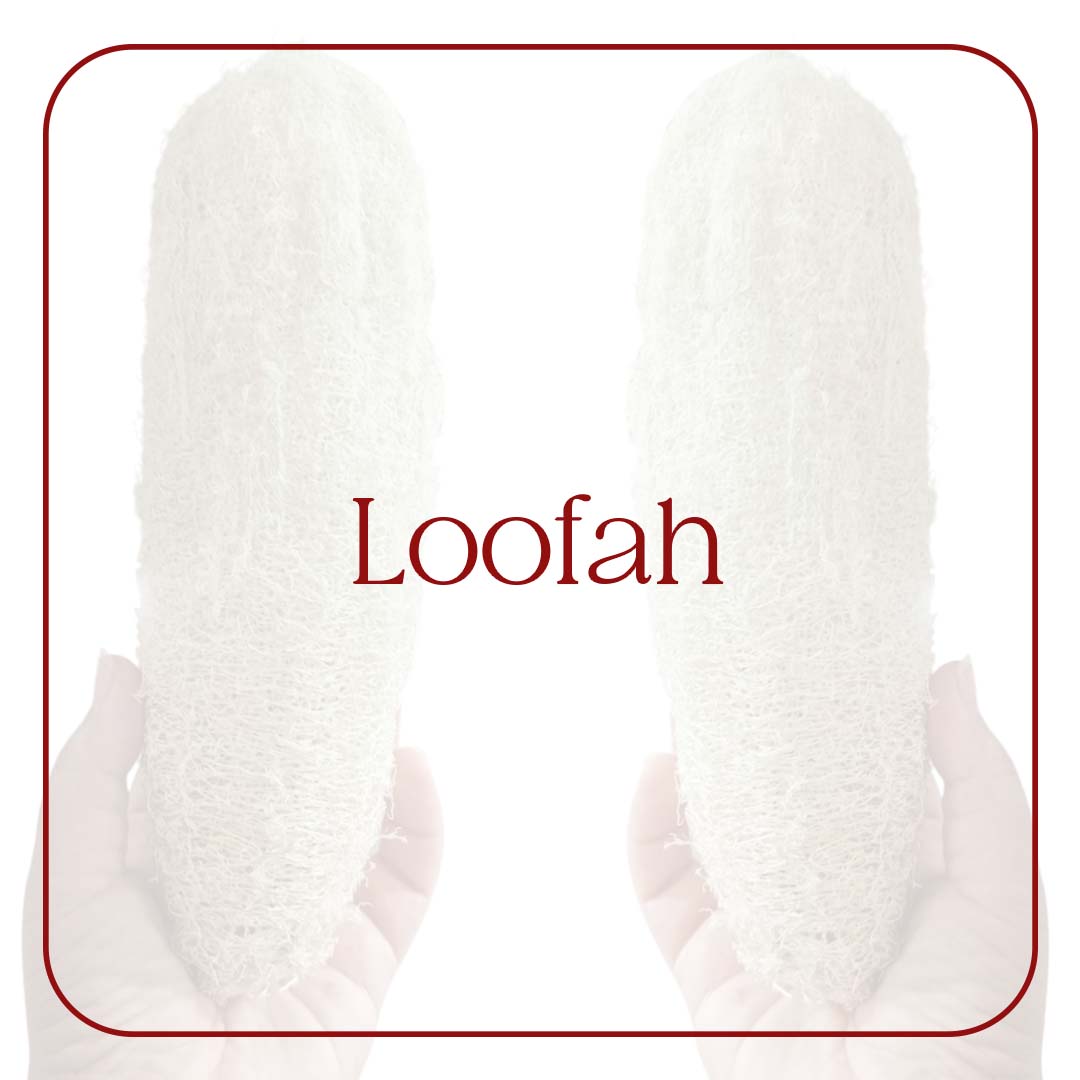Loofah